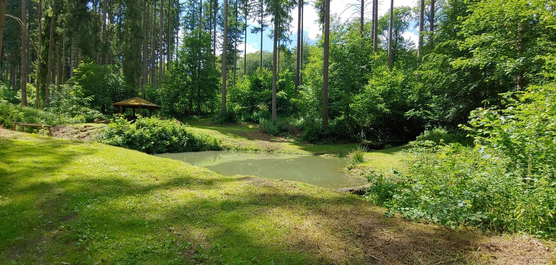Waldteich mit Holzunterstand und Sitzbänken rund um Faid